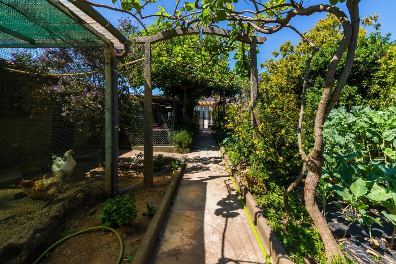 Leca do Balio Araujo 111 - Traditional House מראה חיצוני תמונה